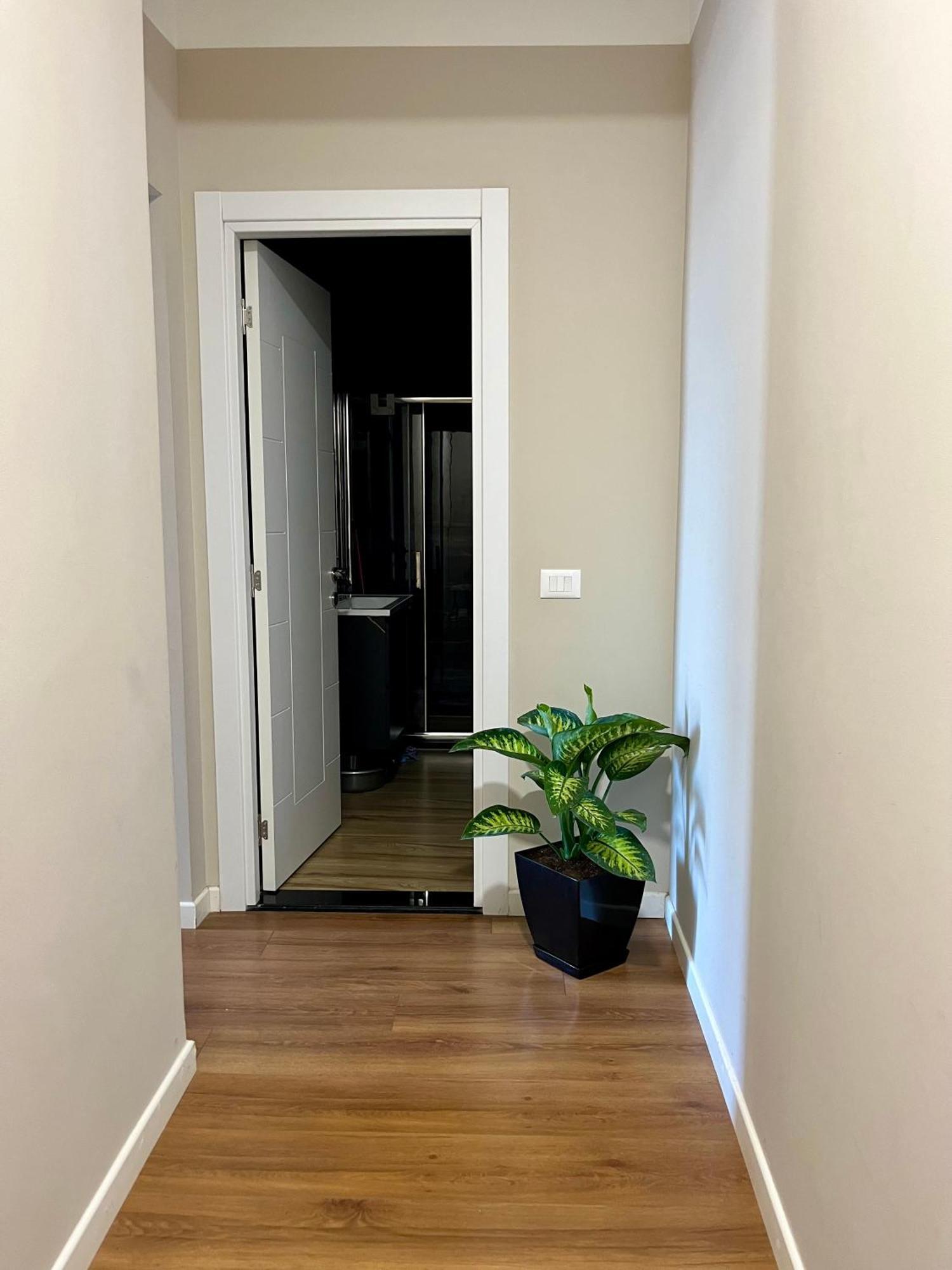 City Center Cozy Apartment Tirana Eksteriør billede